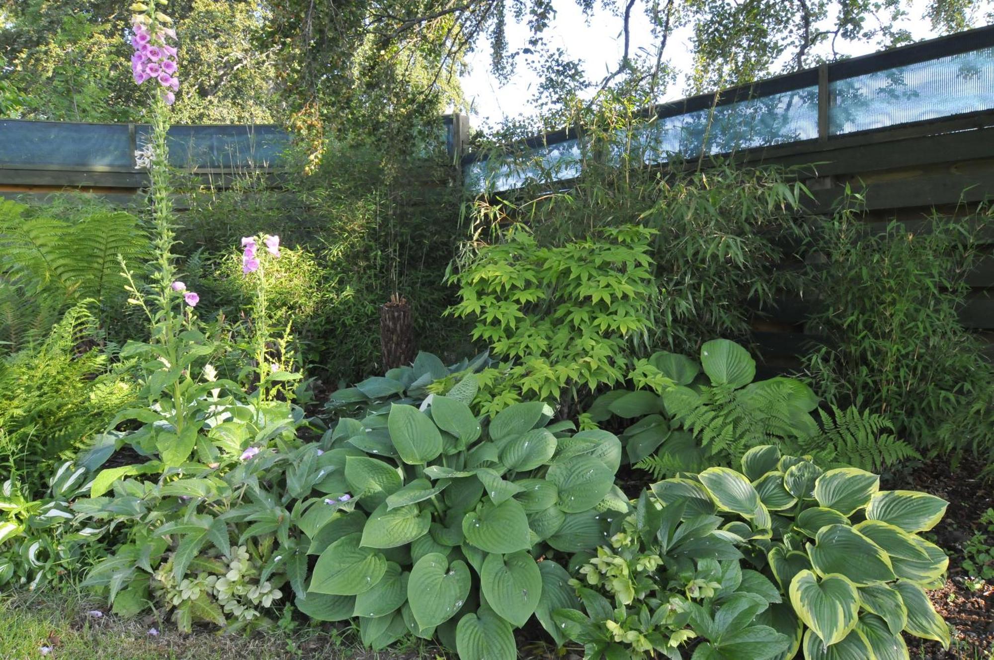 Home Farm Bed And Breakfast Muir of Ord Eksteriør bilde